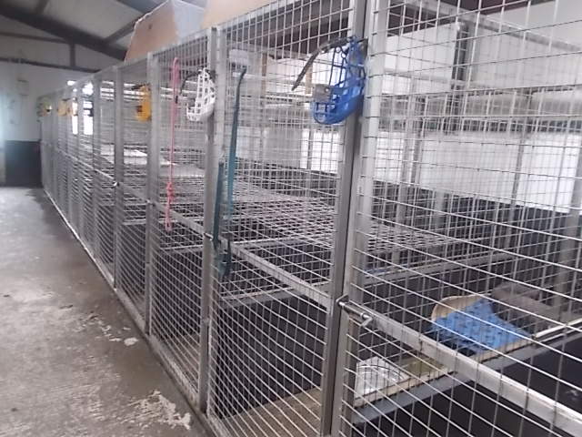 dog cages ireland